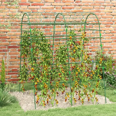 Produktbild von Rankbogen Garten groß, Rankhilfe Rankgitter Metall Vogelschutznetz, Grün | 167 x 144 x 206 cm | 4,5 kg | einfache Montage