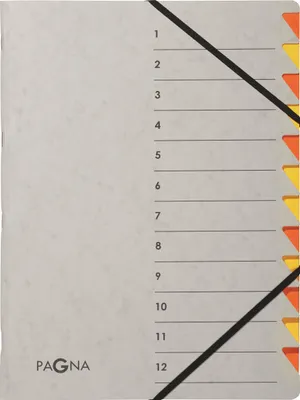 Produktbild von PAGNA Ordnungsmappe "Easy Grey" DIN A4 12 Fächer orange