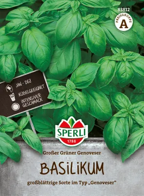 Produktbild von Basilikum Grosses Grünes | Basilikumsamen von Sperli [MHD 01/2024]