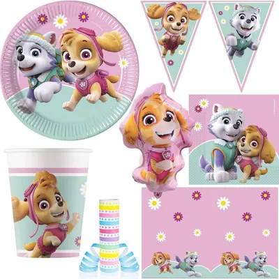 Produktbild von XL Partyset zum Kindergeburtstag Skye & Everest Paw Patrol rosa Mädchen