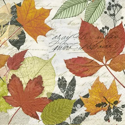 Produktbild von 20 kleine Cocktailservietten Herbarium - Bunte Blättersammlung 24x24cm