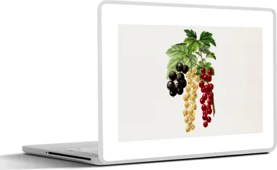 Produktbild von MuchoWow® Laptop Aufkleber Sticker Cover Lebensmittel - Beeren - Obst 25x18 cm - Laptop-Deko