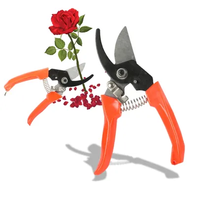 Produktbild von Gartenschere für feine Äste | 16,5 cm | Manuell | Ergonomisch & robust | Neu