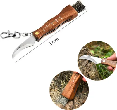 Produktbild von Pilzmesser mit Bürste, Lineal und Echtholzgriff, Schwammerlmesser, Mushroom Knife