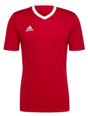 Produktbild von adidas Entrada 22 Trikot 2XL TEPORE