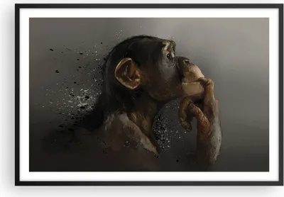 Produktbild von Gerahmtes Poster - Schwarzer Rahmen - Schimpanse Porträt Grafik - 91,5x61 cm - Wand Bild - Wanddeko - Wandbilder - Kunstposter - Wandposter - Bilderrahmen - Bilder - Kunstdruck - P2BAA91x61-4676