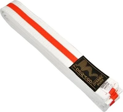 Produktbild von TEKKA BUDO Kampfsport Gürtel mit Mittelstreifen weiß-orange 280 cm 2-farbig - Budogürtel, Karate, Judo, Taekwondo, Ju-Jutsu