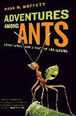 Immagine prodotto di Adventures among Ants