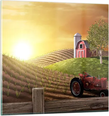 Produktbild von Bilder auf glas - Morgen Bauernhof Feld Plantage - 50x50cm - Glasbilder - Wandbilder - Kunstdruck - zum Aufhängen bereit - Wanddekoration aus Glas - Glas Bilder - Wandbild auf Glas - GAC50x50-2639