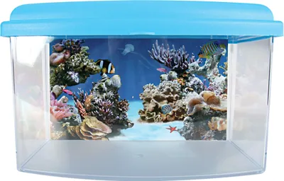 Produktbild von Aqua Travel Transportbox 22 cm