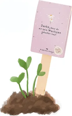 Image de Carte de semences « Merci de m'avoir aidée à grandir » - Graines de fleurs