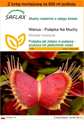 Zdjęcie produktu dla SAFLAX - Garden in the bag - Wenus - Pułapka Na Muchy - 10 Nasiona - Z podłożem uprawowym w praktycznej, samorozkładającej się torbie - Dionaea muscipula