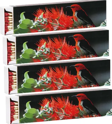 Produktbild von 4 x Flamax Sicherheitszündhölzer