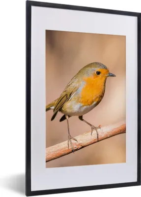 Produktbild von MuchoWow® Gerahmtes Poster Vogel - Zweig - Rotkehlchen 40x60 cm - Poster mit Schwarzem Bilderrahmen Wandposter Rahmen Foto Bilder - Poster in Rahmen