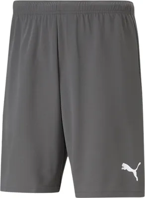 Produktbild von Puma Teamrise Shorts Kinder - Grau