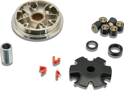 Image de Variateur Malossi MULTIVAR, modèle 00gr, compatible avec Honda NPS 50