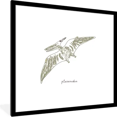 Produktbild von MuchoWow® Gerahmtes Poster Kinderzimmer - Pteranodon - Dinosaurier - Jungen - Mädchen - Kinder - Kinder 40x40 cm - Poster mit Schwarzem Bilderrahmen Wandposter Rahmen Foto Bilder - Poster - Plakat im Rahmen