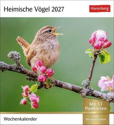 Obrázek produktu pro Heimische Vögel Postkartenkalender 2027 - Wochenkalender mit 53 Postkarten