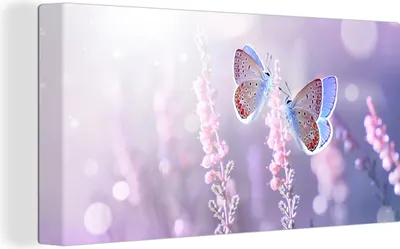 Produktbild von MuchoWow® - Leinwandbilder - Schmetterling - Lavendel - Blumen - Lila, Wandbild, Wanddeko Bilder Wohnzimmer, 40x20 cm