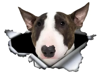 Productafbeelding van Bullterrier auto sticker 15 cm - reflecterende en waterdichte sticker