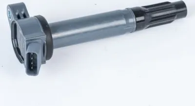 Obrázok produktu pre Zapaľovacia cievka BorgWarner (BERU) ZSE202
