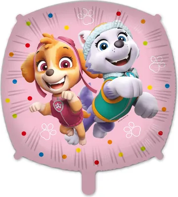 Produktbild von Folienschlauchballon Paw Patrol Skye und Everest 46 cm