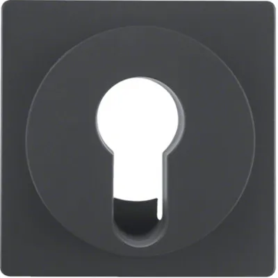 Immagine prodotto di Berker 15076086 Piastra centrale per interruttore a chiave/pulsante antracite con Berker Q.1/Q.3