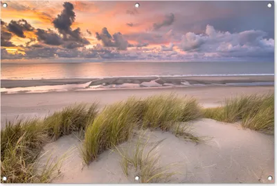 Produktbild von MuchoWow® 120x80 cm Outdoor-Poster Gartendeko Sichtschutz Garten Poster für den Garten  Sonnenuntergang - Düne - Strand - Pflanzen - Meer