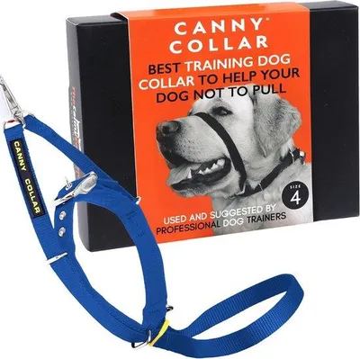 Produktbild von Famanu Hundehalsband für Training und Spaziergänge - Einfache und effektive Lösung für ziehende Hunde - Blau (Größe 4)