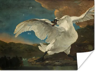 Produktbild von MuchoWow® Poster Schwan - Alte Meister - Jan Asselijn 80x60 cm - Kunst für zu Hause