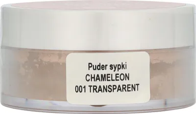 Produktbild von Gosh Chameleon Puder Puder Gesichtspuder 001 Transparent, 8g