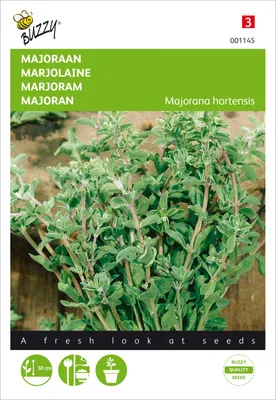 Produktbild von Majoran Einjährig | Majoransamen von Buzzy Seeds