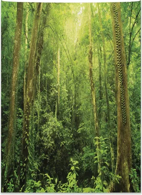 Produktbild von Abakuhaus Tropisch Wandteppich, Regenwald-Landschaft aus Weiches Mikrofaser Stoff Kein Verblassen Klare Farben Waschbar, 110 x 150 cm, Grün
