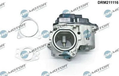 Immagine prodotto di DR.MOTOR AUTOMOTIVE DRM211116 Valvola EGR con guarnizione per VW GOLF VI (5K1) Valvola di ricircolo dei gas di scarico