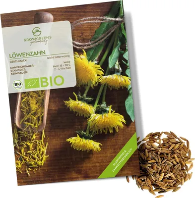 Produktbild von Löwenzahn Samen - Küchenkräuter Saatgut aus biologischem Anbau ideal für den heimischen Kräutergarten, Balkon & Garten (400 Korn)