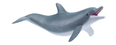 A toy dolphin on a white background.