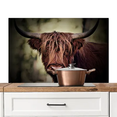 Produktbild von KitchenYeah®  Spritzschutz Küche - Küchenrückwand - Wandschutz für Herd und Spüle - Schottisches Hochlandrind - Licht - Porträt - Natur 100x65 - Alu-Dibond (Alternative zum Spritzschutz aus Glas) - Hi