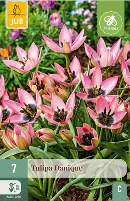 Produktbild von Warentuin Producten