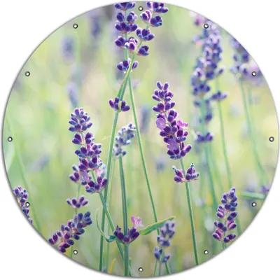 Produktbild von Wallario rundes Outdoor-Poster für Garten oder Balkon, Motiv Lila Blumenfreude - Violette Pflanzen auf der Wiese, 120 cm Durchmesser