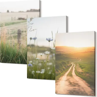 Produktbild von Wandbild – Leinwandbild – Leinwandbilder – Polycanvas – Kunstdruck – Modern – Panorama – Mehrteilig – 3-Teilig Set – Hochwertig – Lichtecht – Geruchslos – 20x30 Cm Je Element - Naturlandschaften mit Feldern und einem Weg in der Sonne