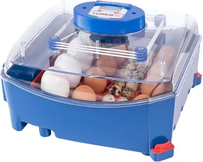 Produktbild von Borotto Brutapparat - 16 Eier - vollautomatisch - antimikrobieller Biomaster-Schutz
