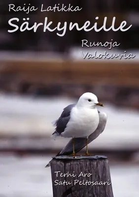 Produktbild von Särkyneille