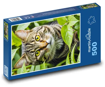 Produktbild von Puzzle 500 Katze im Garten - martinpuzzle