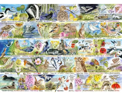Obrázok produktu pre Gibsons RSPB Birdsong & Bluebells, 1000 kusov