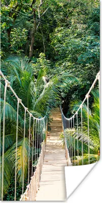 Produktbild von MuchoWow® Poster Dschungel - Palme - Brücke - Natur - Pflanzen 20x40 cm - Plakat - Foto