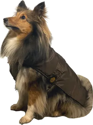 Produktbild von Fashion Dog Hunde-Regenmantel mit Fleecefutter - Braun - 27 cm