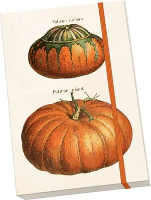 Imagen del producto de Notýsek Pumpkins