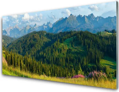 Produktbild von Acrylglasbilder 100x50 Wandbild Druck Gebirge Wald Natur