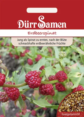 Produktbild von Dürr-Samen - Erdbeerspinat - Saatgut - 1913