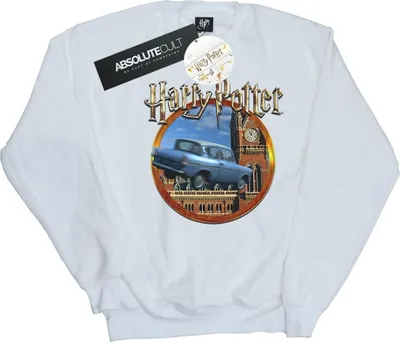 Produktbild von Harry Potter - Sweatshirt für Herren BI28265 (5XL) (Weiß)